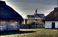 Fot. Sylwester Cichal